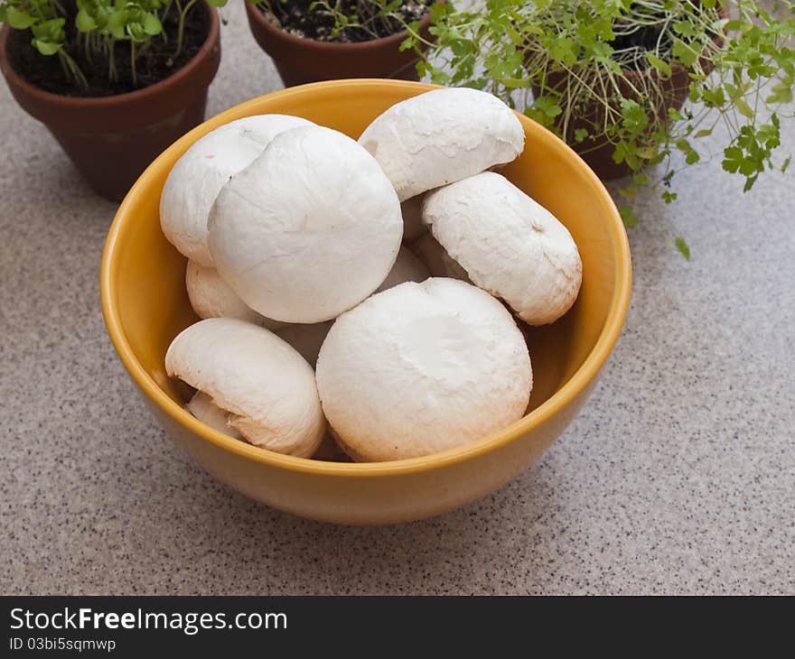 Fresh mushrooms in an orange bowl. Fresh mushrooms in an orange bowl