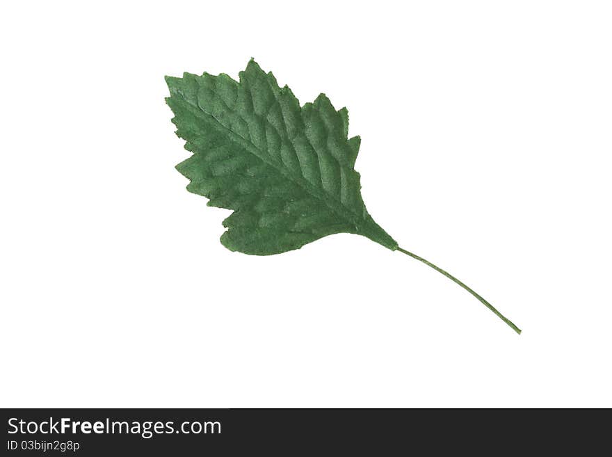 Artificial green leaf on a white background