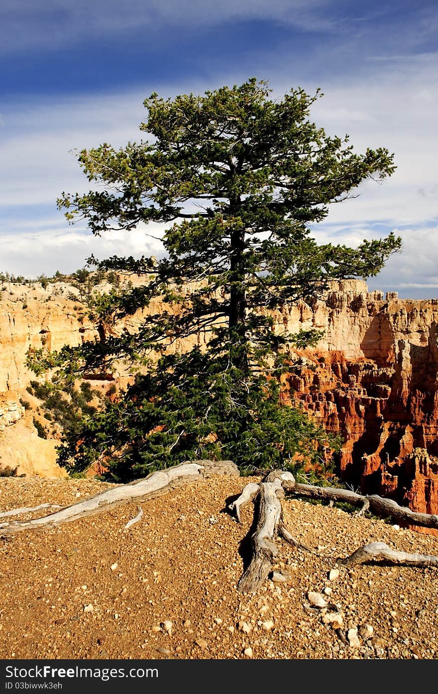 Bryce Canyon