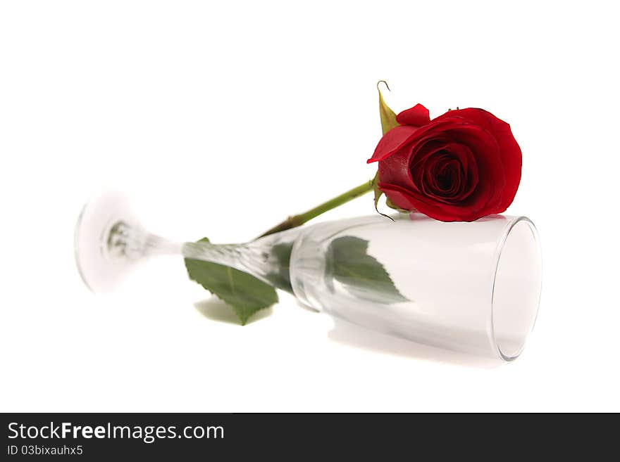 Wineglass with rose flower on white background