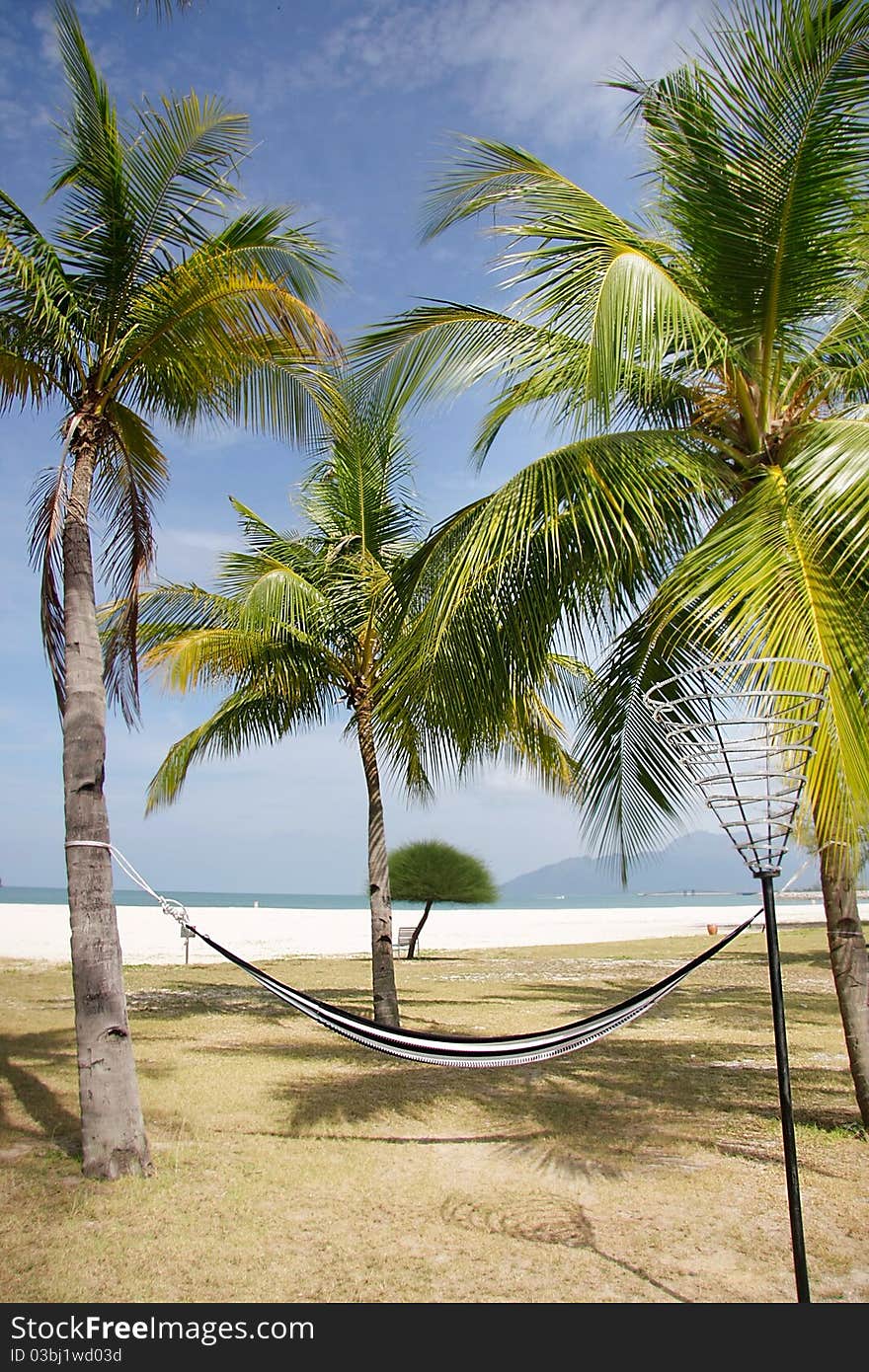 Tropical beach view with palm trees and hammock