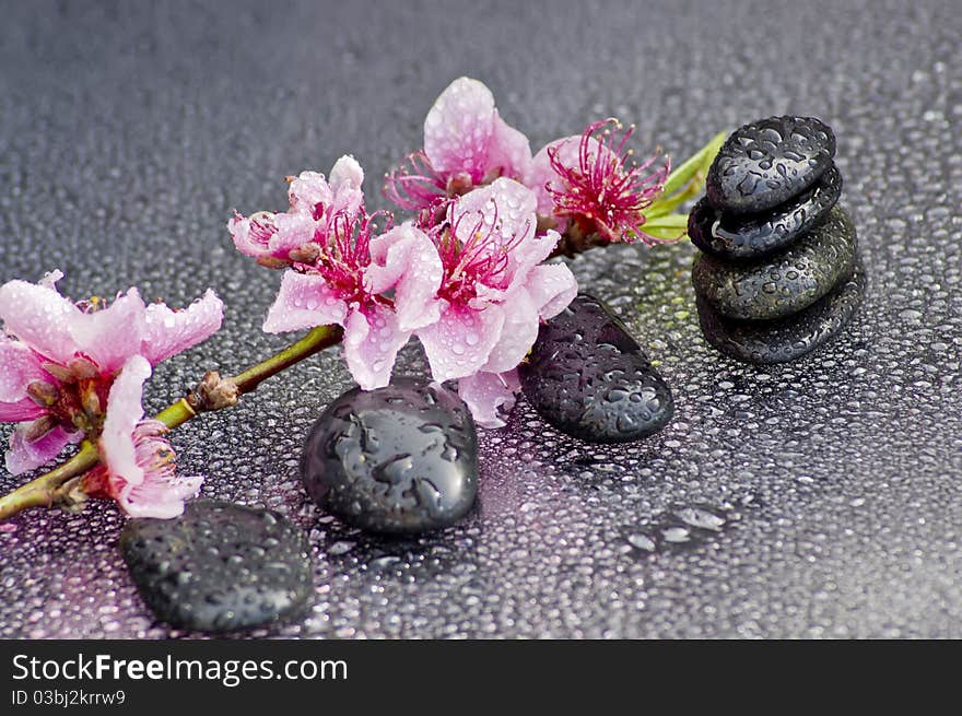 Zen stones with flowers and some water drops