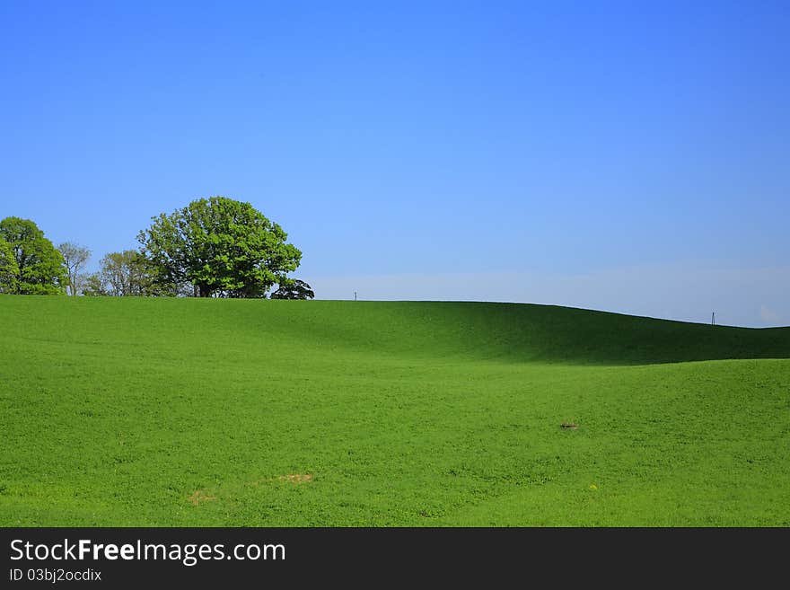 Green  field in countryside, Latvia. Green  field in countryside, Latvia.