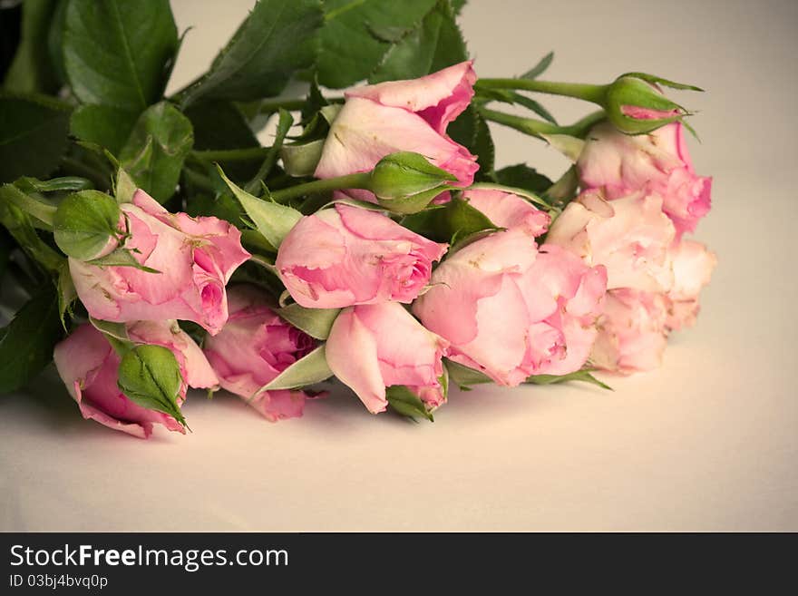 Shabby Chic Roses. Vintage roses