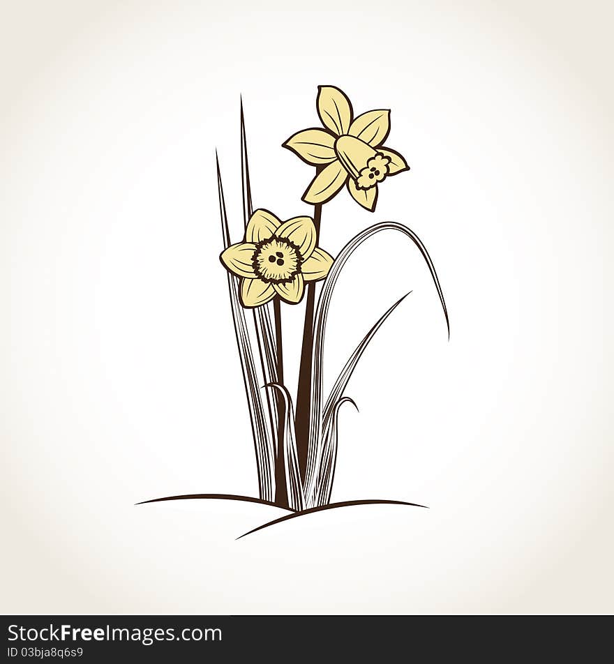 Spring daffodils splattered spotted spring. Spring daffodils splattered spotted spring.