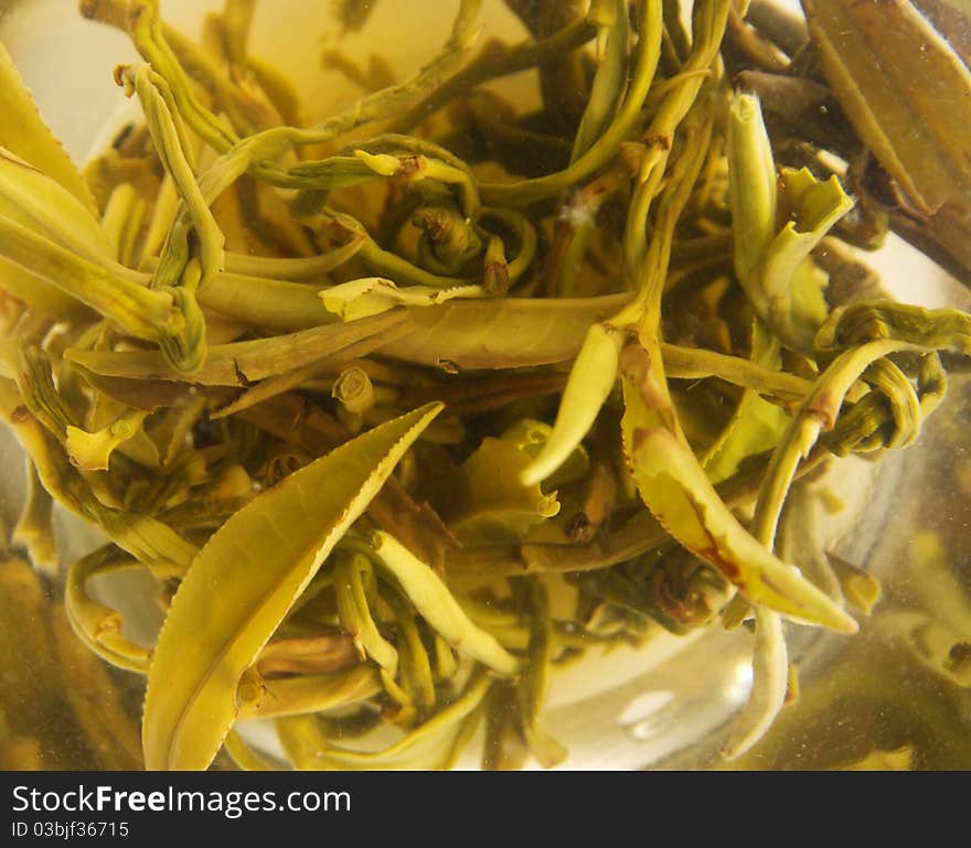 Closeup picture of white tea leaves in glass cup