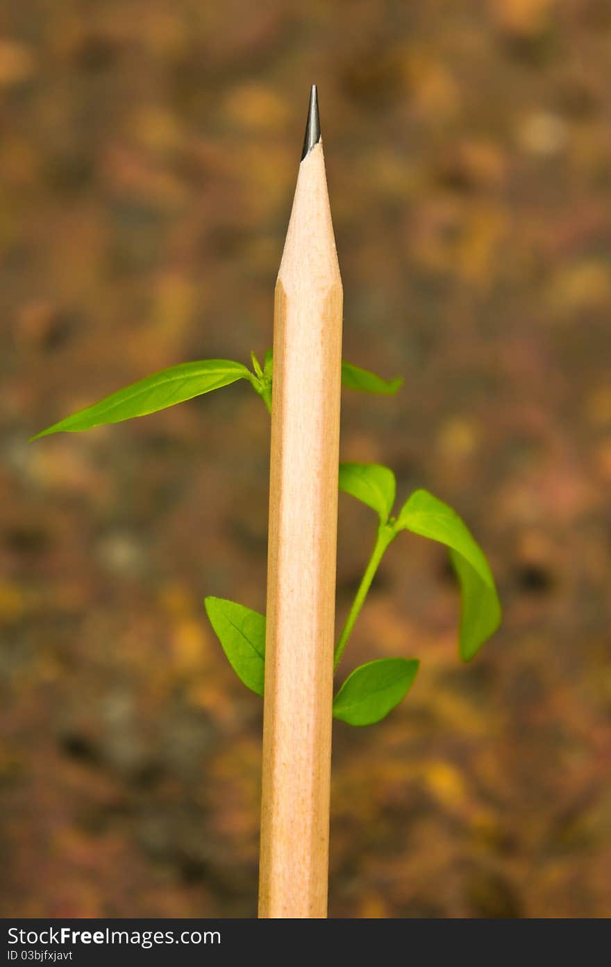 Planting pencil with green leaves. Planting pencil with green leaves