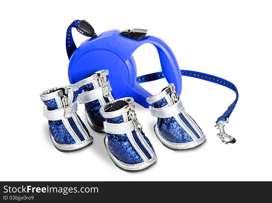 Shoes and a leash for small dogs. Shoes and a leash for small dogs