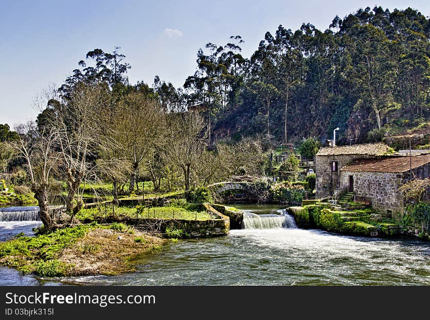 Rural landscape