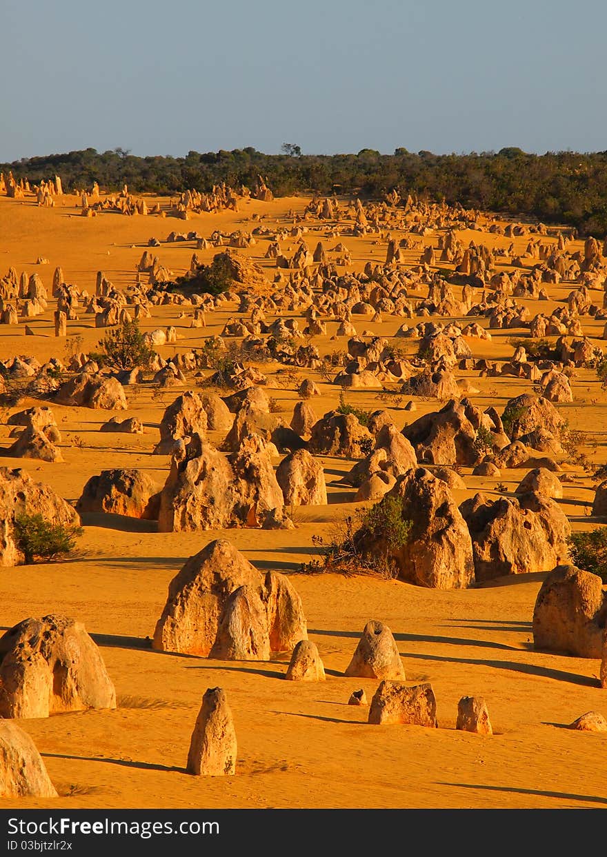 In the Pinnacles Desert, right in the heart of Nambung National Park, thousands of huge limestone pillars rise out of a stark landscape of yellow sand. In places they reach up to three and a half metres tall. Some are jagged, sharp-edged columns, rising to a point; while others resemble tombstones. In the Pinnacles Desert, right in the heart of Nambung National Park, thousands of huge limestone pillars rise out of a stark landscape of yellow sand. In places they reach up to three and a half metres tall. Some are jagged, sharp-edged columns, rising to a point; while others resemble tombstones.