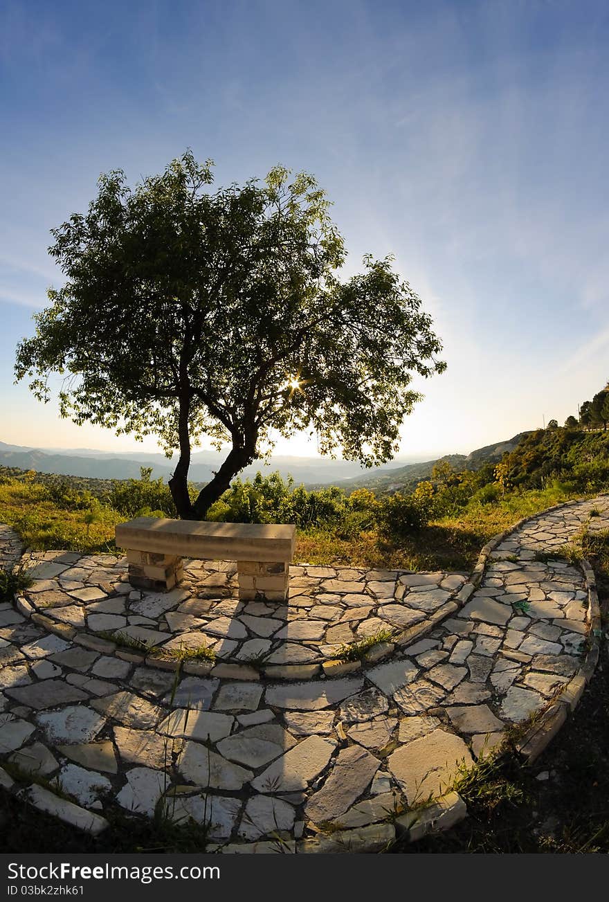 Stone bench and tree near the walk path