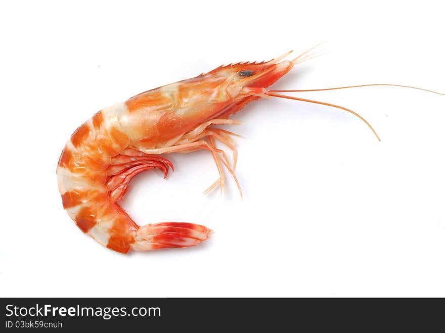 Shrimp ~ a single cooked king prawn, isolated on white with soft shadow.