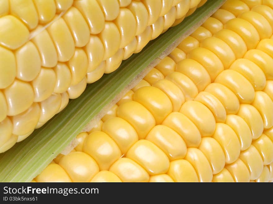 Freshly harvested corn, close up.