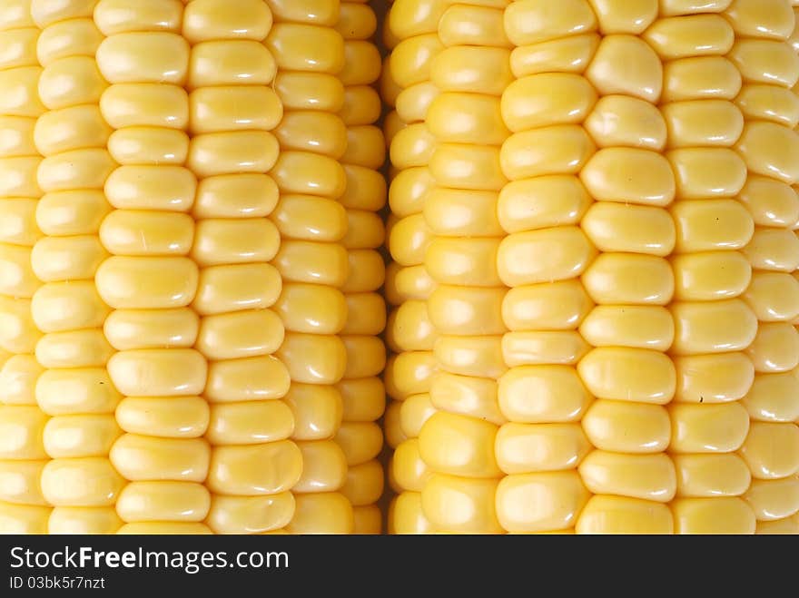 Freshly harvested corn, close up.