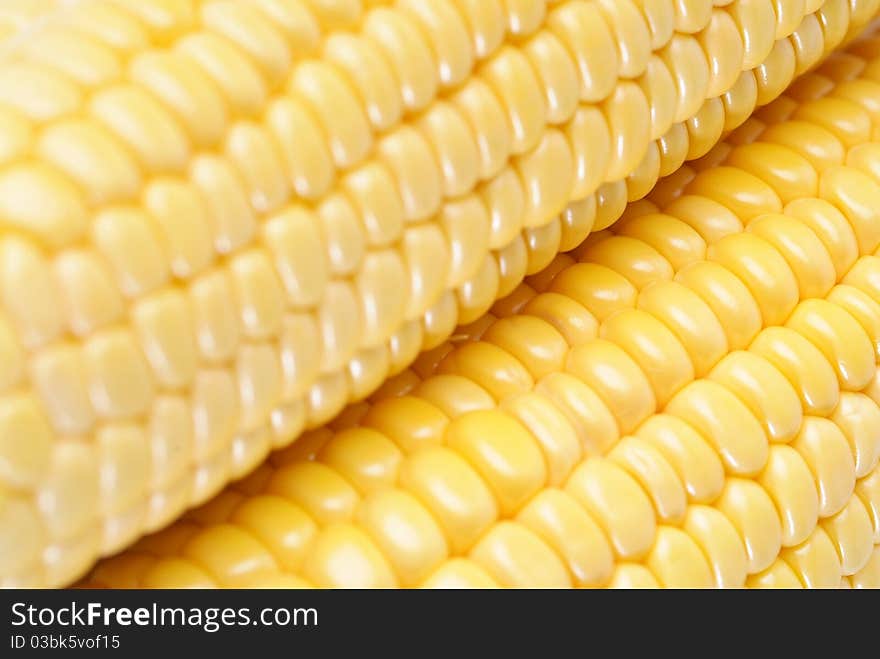 Freshly harvested corn, close up.