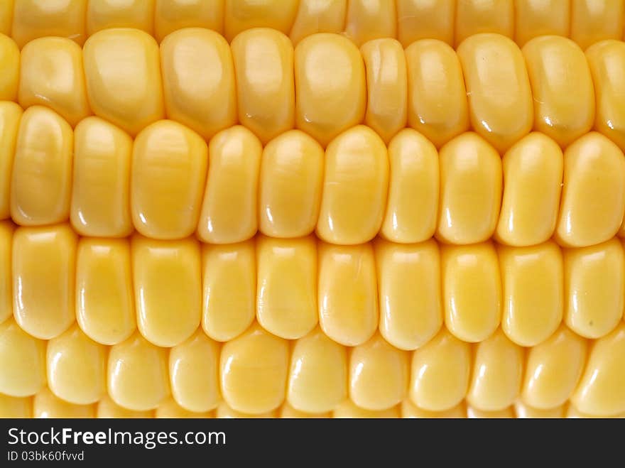 Freshly harvested corn, close up.