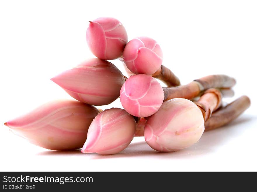 Isolated close-up image of a wild ginger flower, usually used in Malaysian cooking for its nice strong aromatic flavour. Isolated close-up image of a wild ginger flower, usually used in Malaysian cooking for its nice strong aromatic flavour.