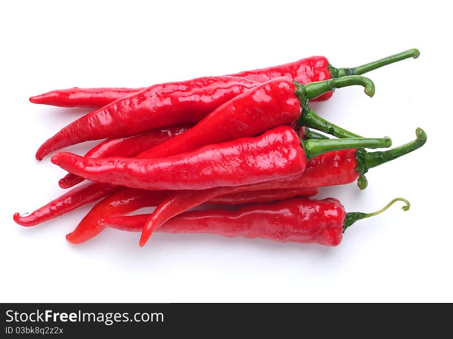 Red hot chili on white background. Red hot chili on white background