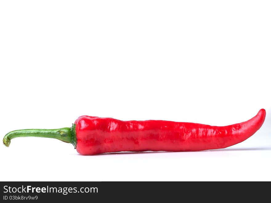 Red hot chili on white background. Red hot chili on white background