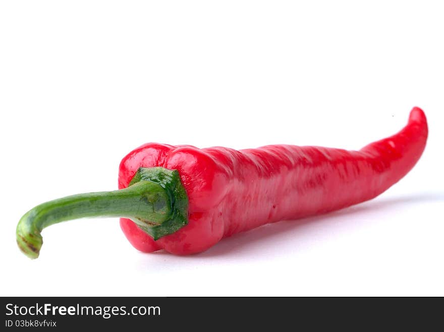 Red hot chili on white background. Red hot chili on white background