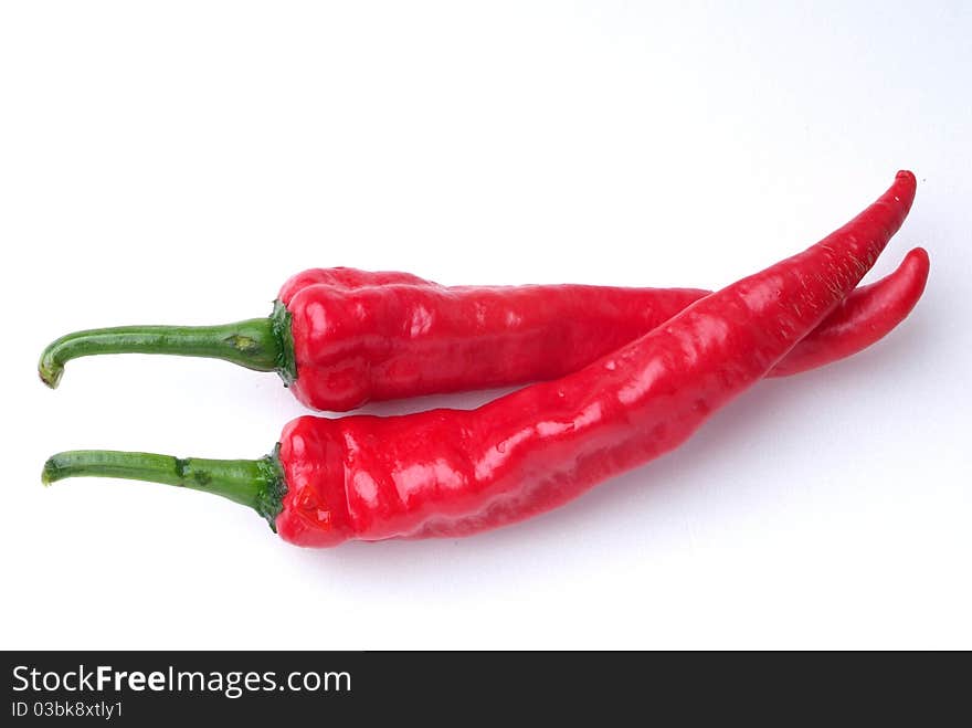 Red hot chili on white background. Red hot chili on white background