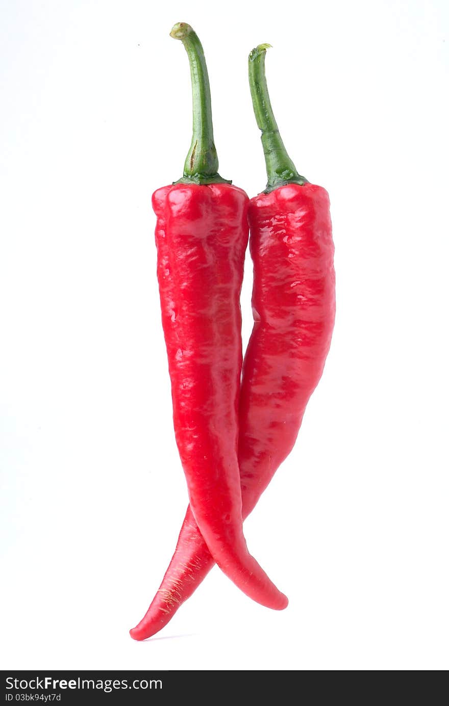 Red hot chili on white background. Red hot chili on white background