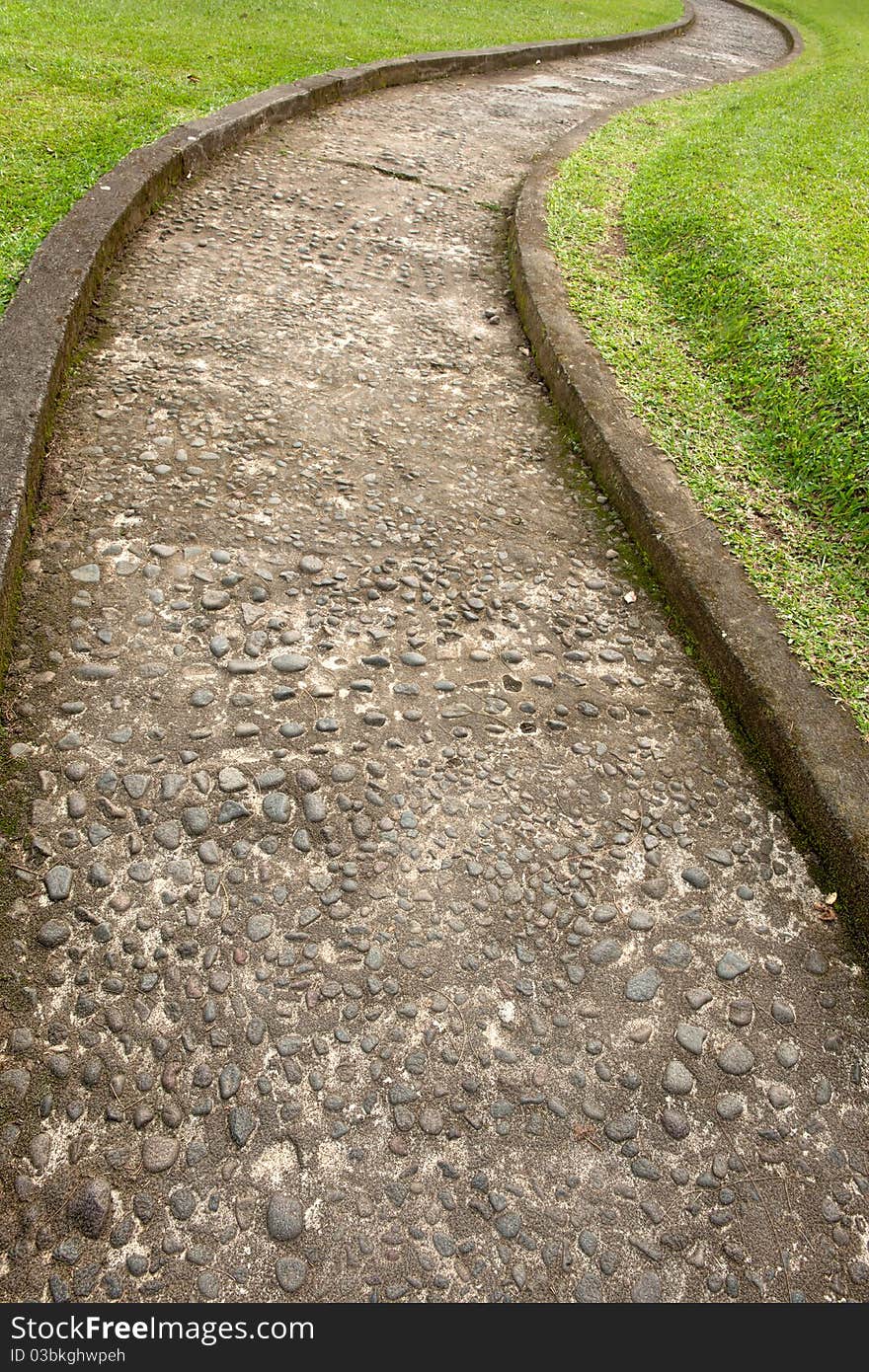 Curved path through green grass field