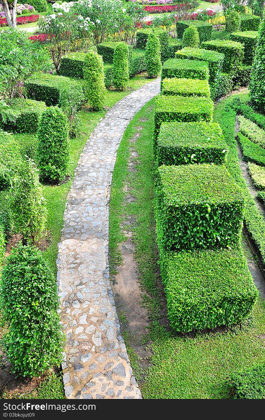 Walk pathway along green garden. Walk pathway along green garden