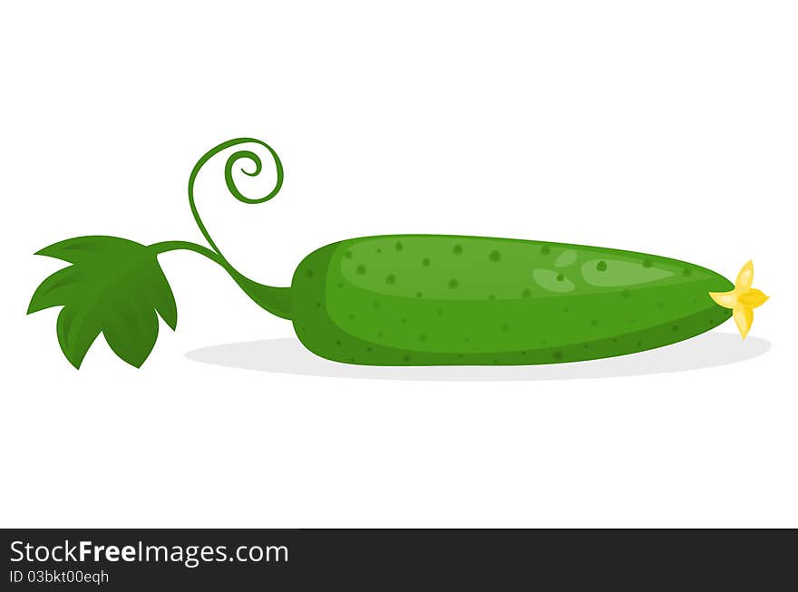 Vector illustration: cucumber with flower and leaf.