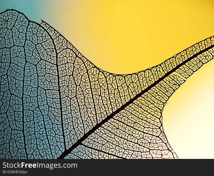 DECORATIVE LEAF