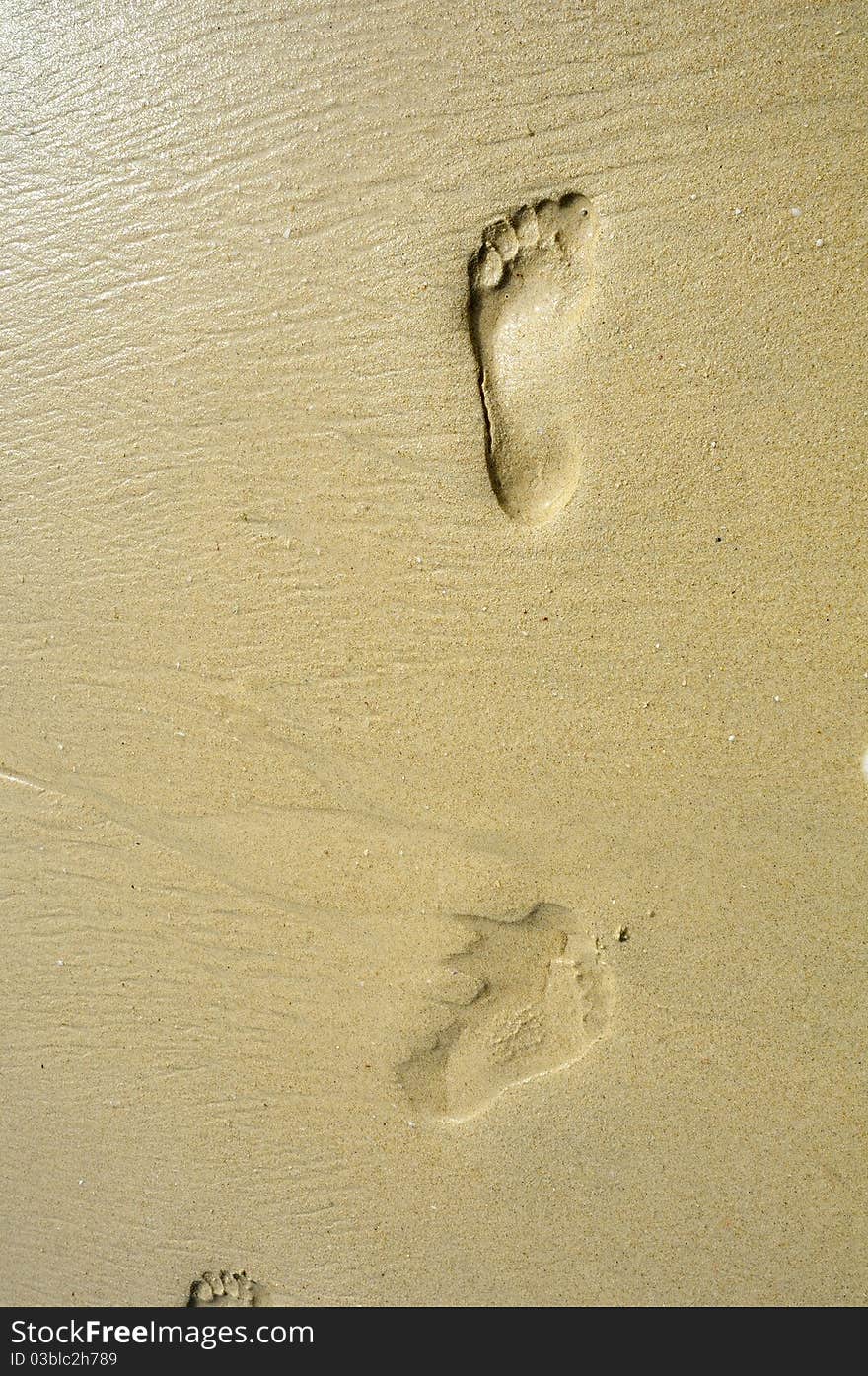 Footprints