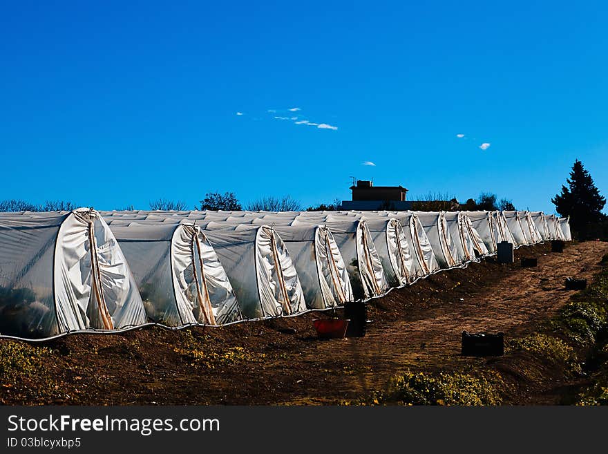 Greenhouses in Sicily. The transparent walls and roof of these sicilian greenhouses are made of plastic instead of glass. Greenhouses in Sicily. The transparent walls and roof of these sicilian greenhouses are made of plastic instead of glass