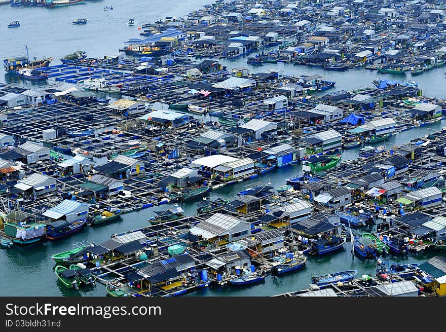 Many boats together to form a huge seafood farms. Many boats together to form a huge seafood farms