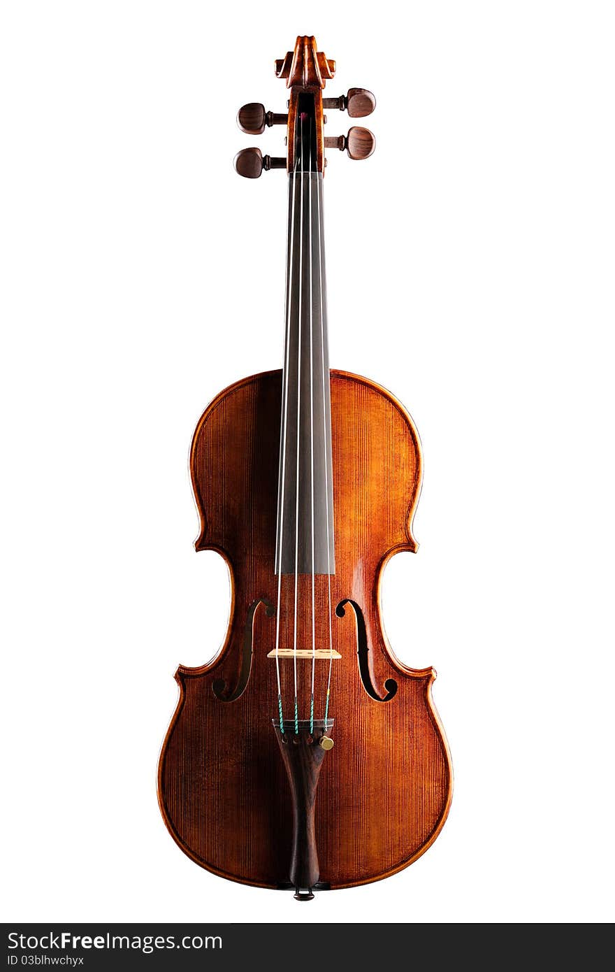 Violin