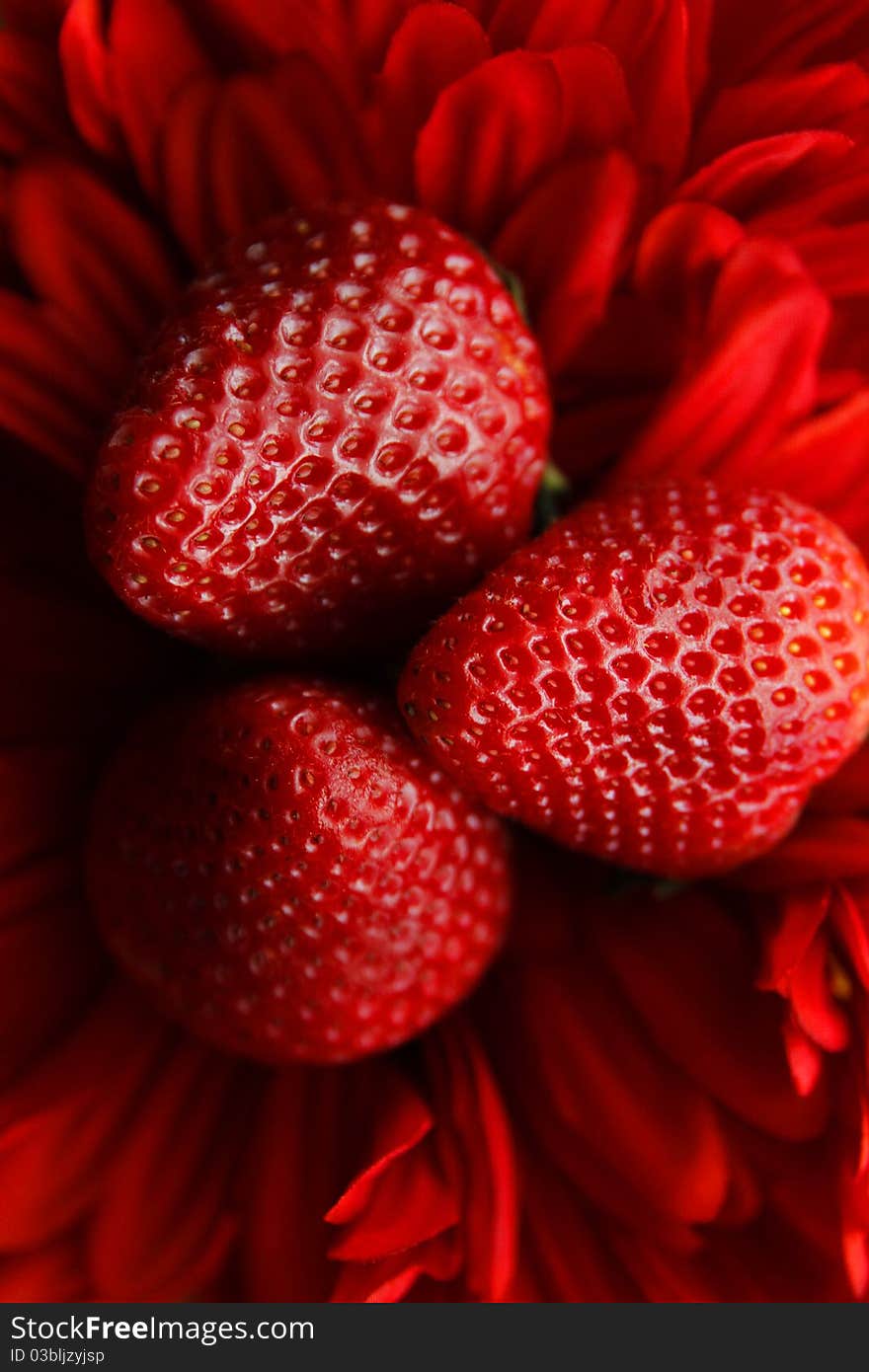 Strawberry trio