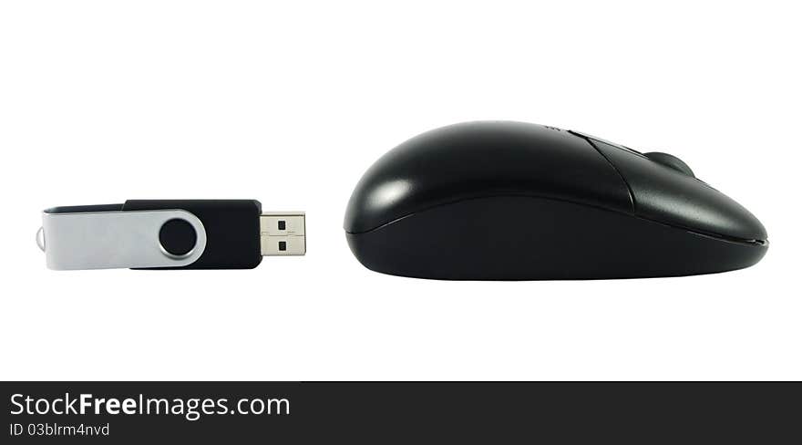 Mouse With USB Memory Stick