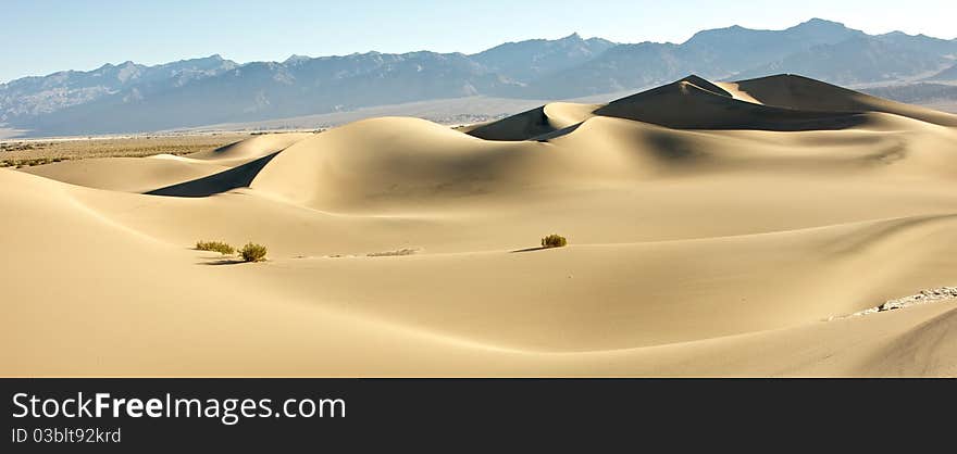 The dunes of Death Valley National Park seem to stretch on forever. The dunes of Death Valley National Park seem to stretch on forever.