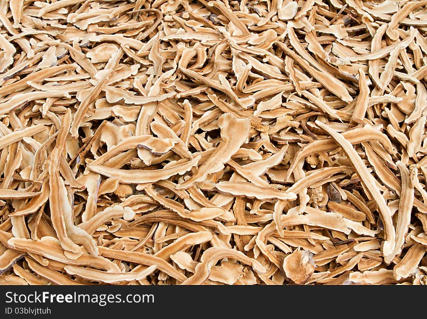 The dried mushroom in the mushroom farm