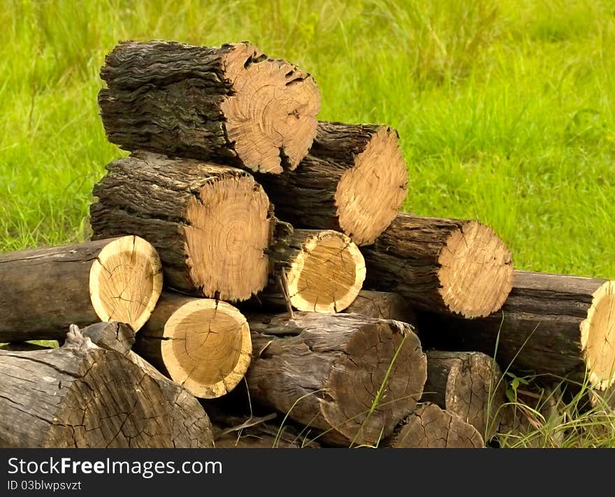 Pile of timber logs cut with chainsaw ready for firewood. Pile of timber logs cut with chainsaw ready for firewood