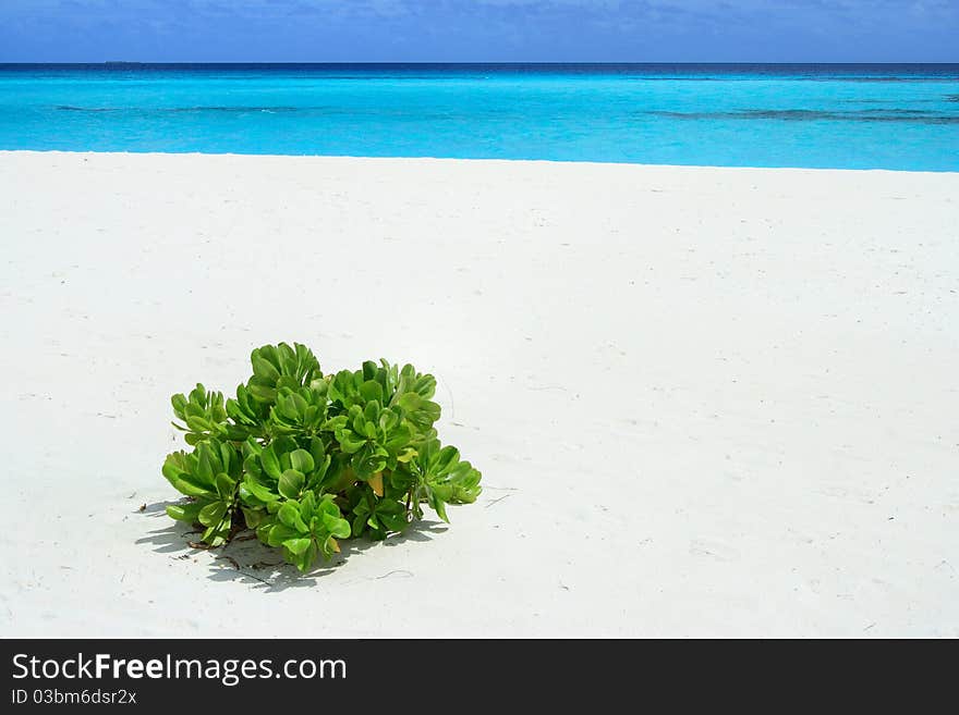 Bungalows in the Island of Kuredu in Maldives. Bungalows in the Island of Kuredu in Maldives