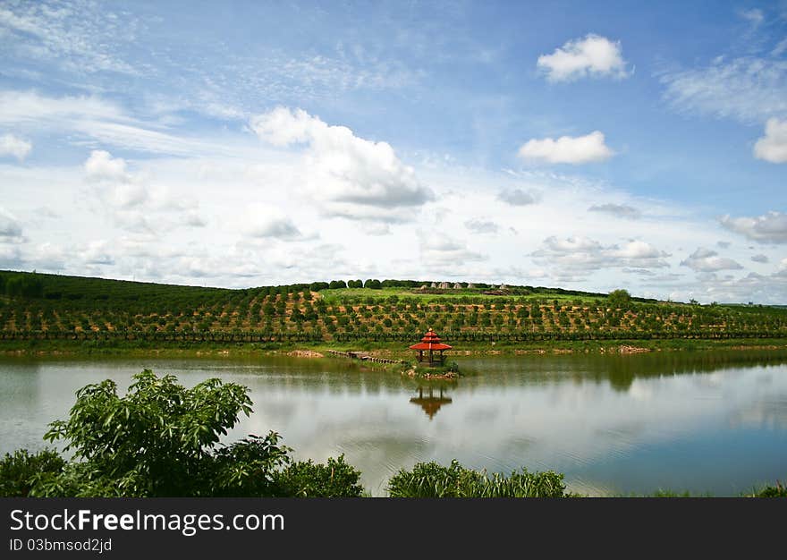 Reservoir in Orange Farm