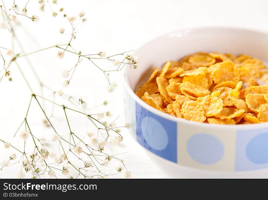 A bowl of corn flakes with milk. A bowl of corn flakes with milk