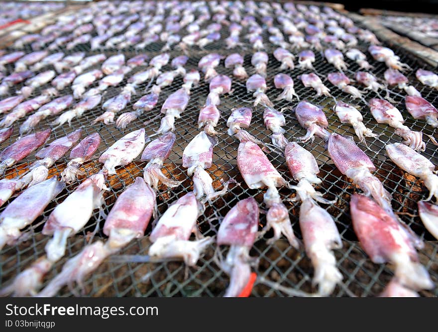 Dry squid in thai market