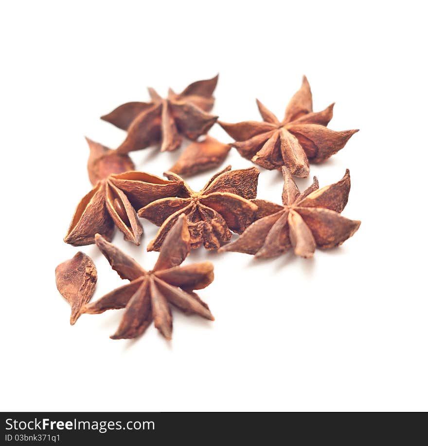 Anise stars on white background