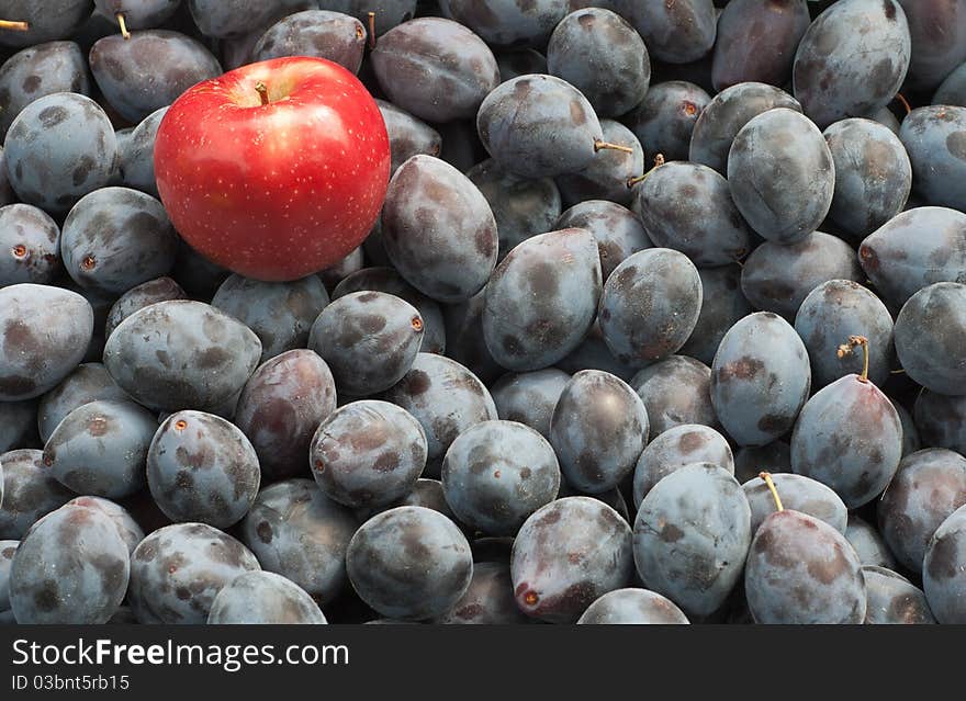 Arrangement red apple and plum. Arrangement red apple and plum