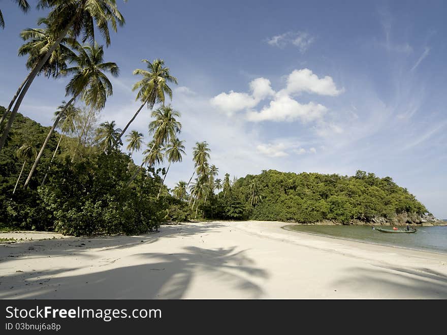 Beach in sunny day.