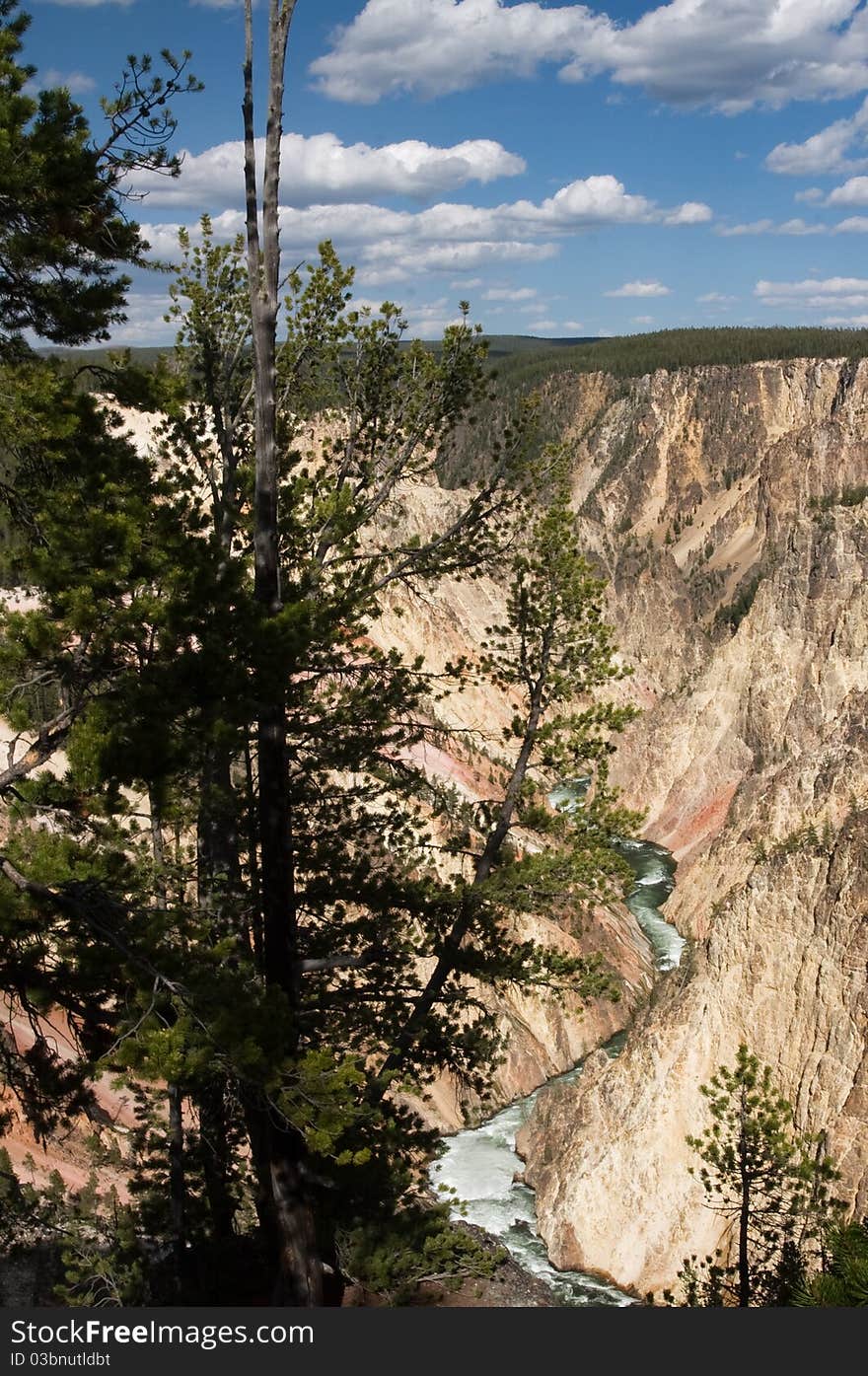 Grand canyon of Yellowstone River beneath the lower falls