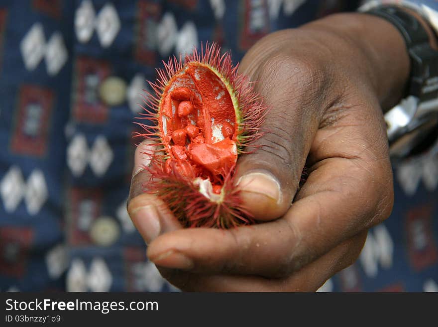 Lipstick fruit shown in a hand