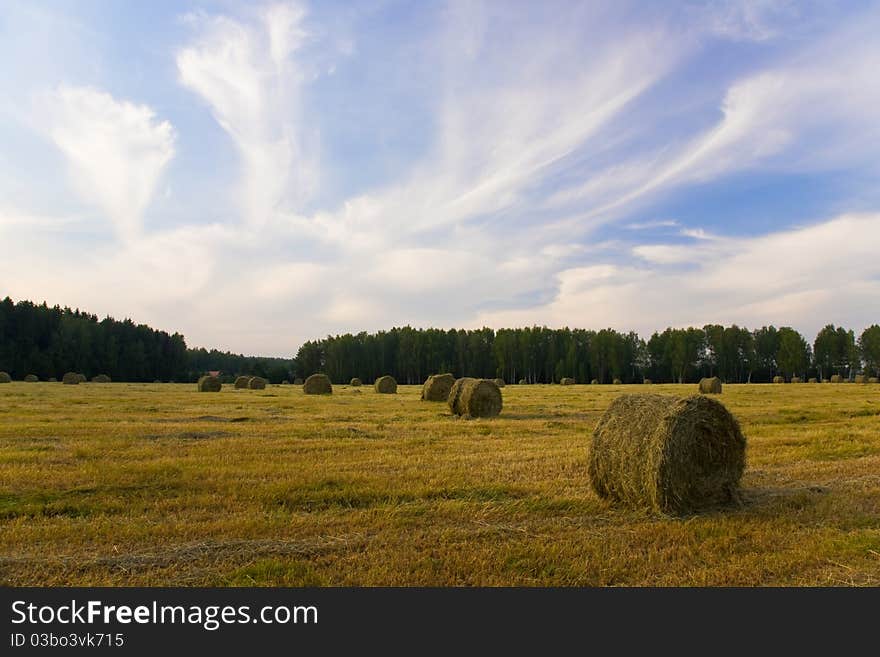 Haystacks on the field with cloudy sky