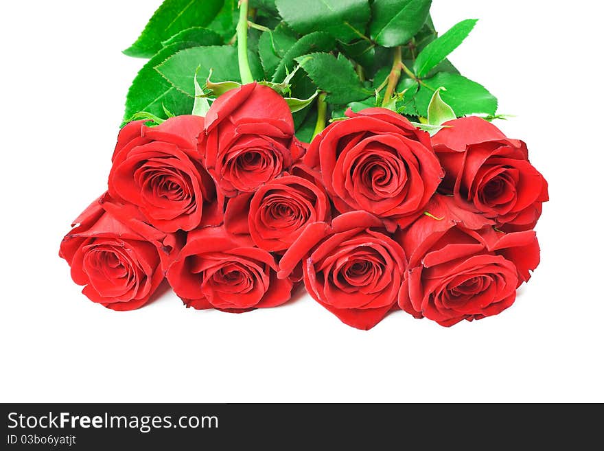 Roses Bouquet